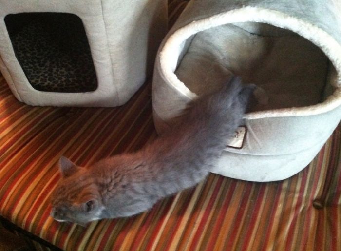 I’m Not Sure What’s Happening Here....