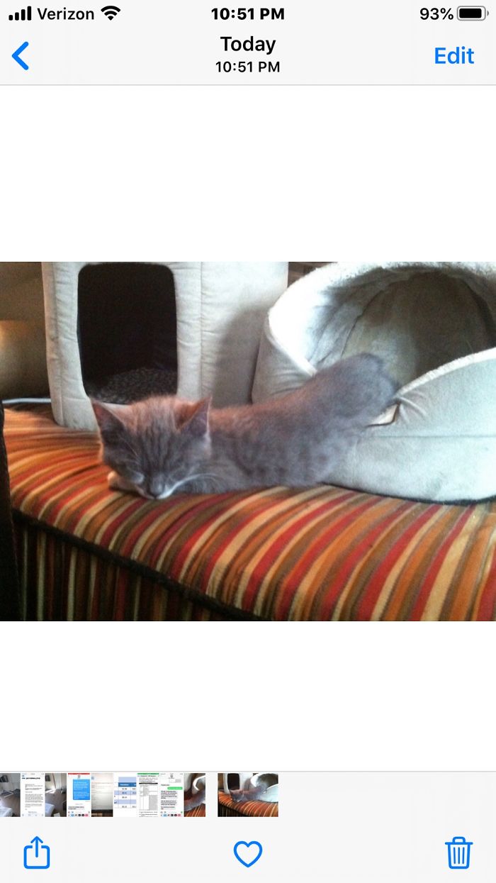 But He’s So Super Cute, I Can’t Stand It