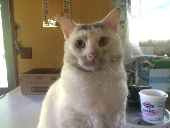 Just Out Of The Fire Pit He Couldn’t Figure Out Why We Were Laughing At Him