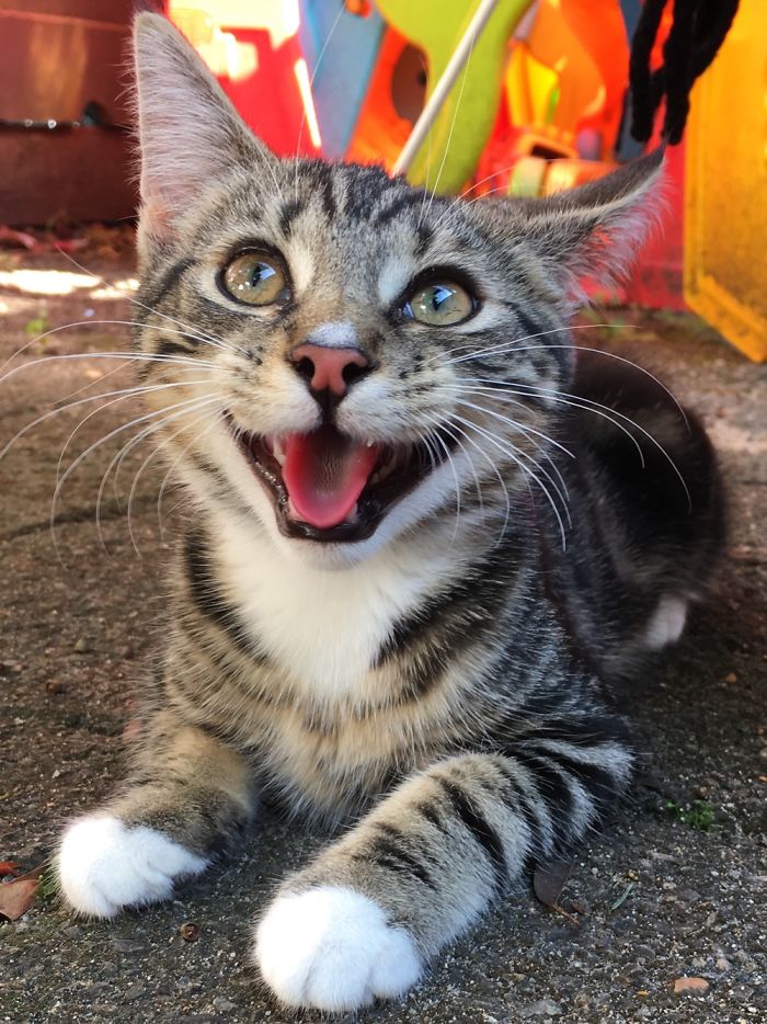 We’re All A Little Crazy Here