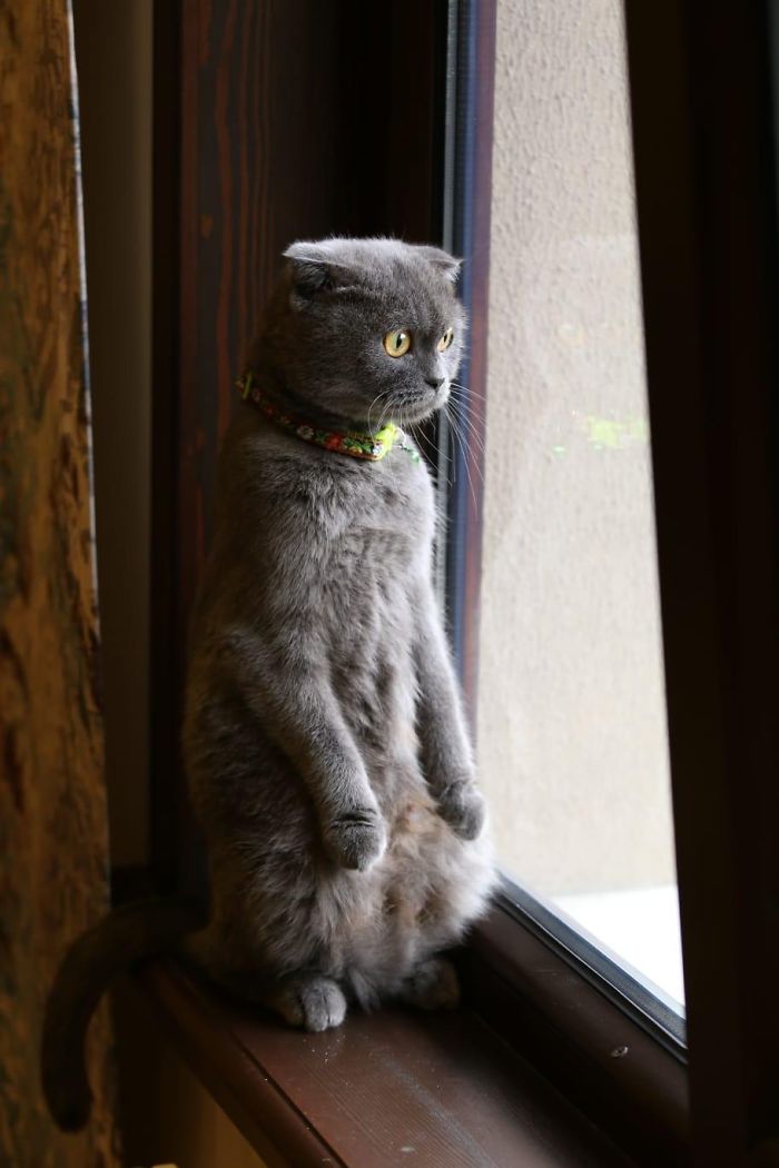 She Can Sit Like That For Hours