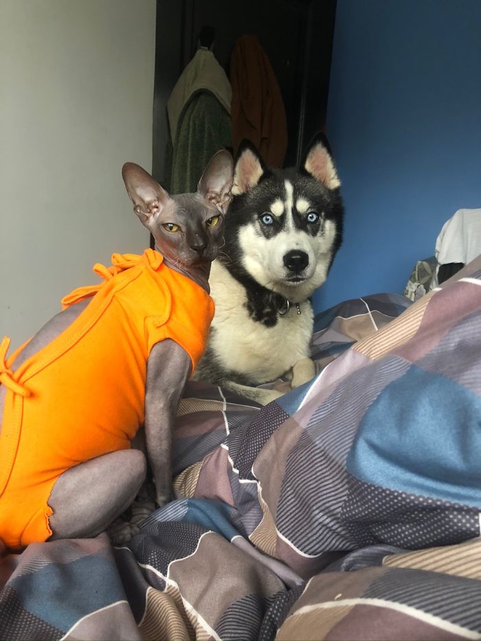 Good Morning, What's For Breakfast?