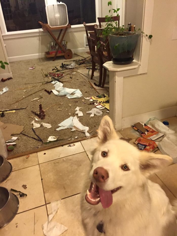 I Took Out The Trash For You! You’re Welcome! Part 2