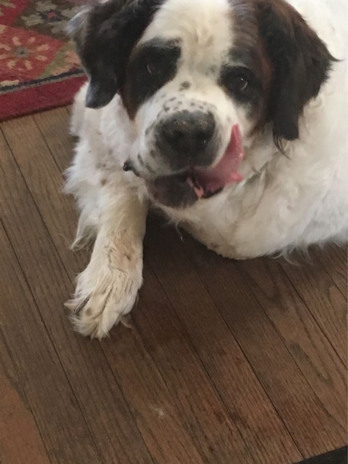 Suns Out, Tongues Out