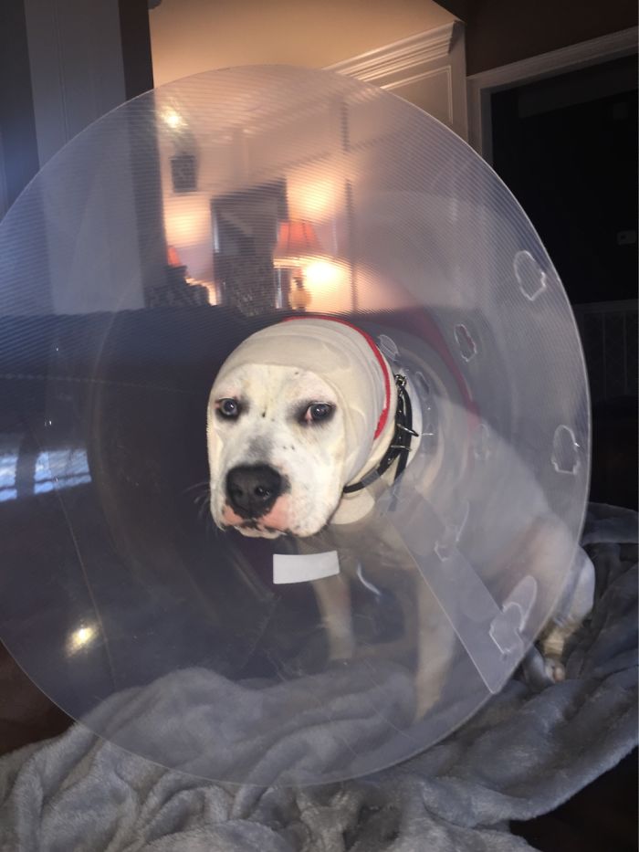 I Don’t Wish To Discuss It!