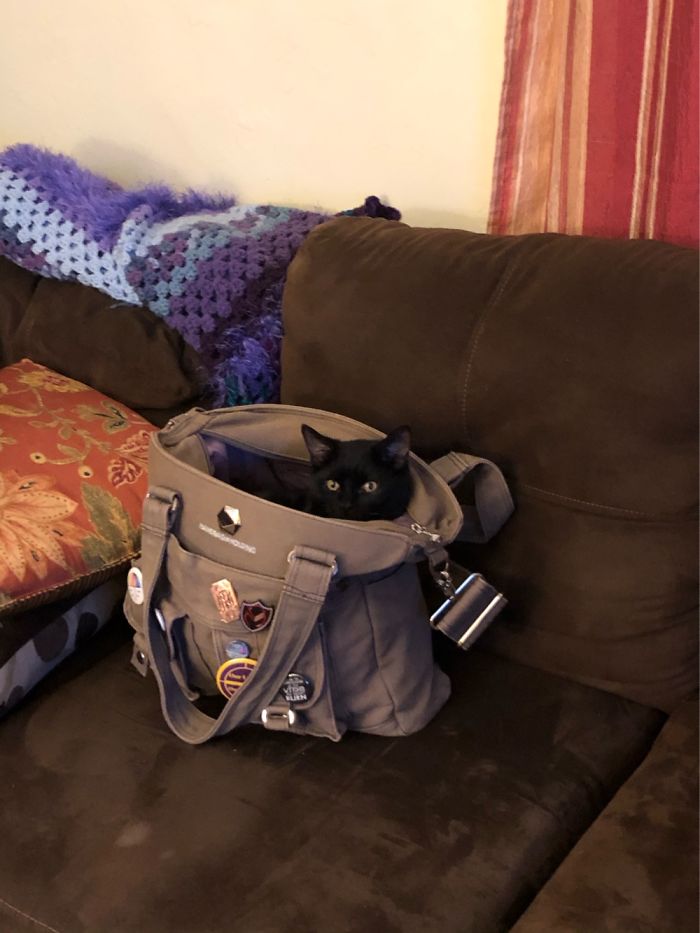 Bag Of Holding Does It’s Job.