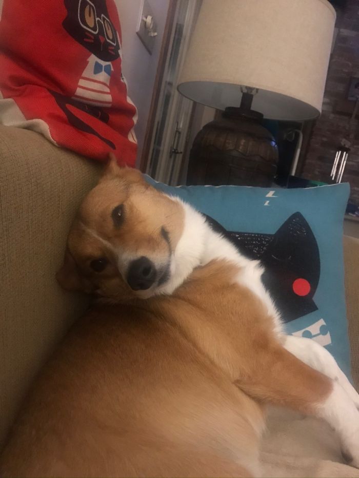 Who? Little Old Me??