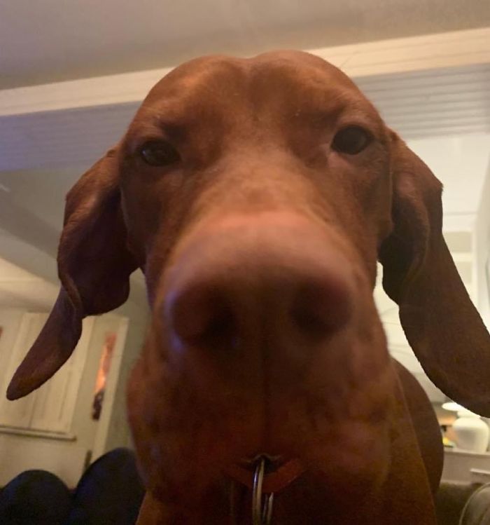 Just Checking Whether You Have Washed Your Hands.