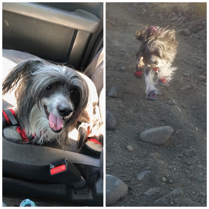 Ready For A Trail Run!