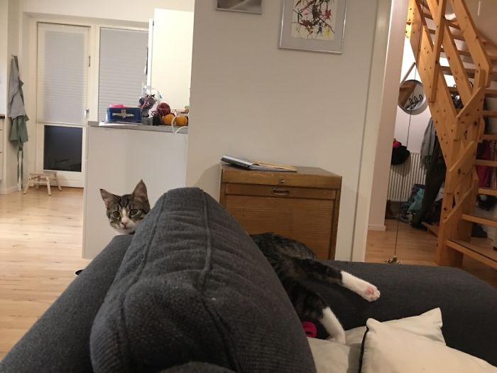 His Favourite Sleeping Spot