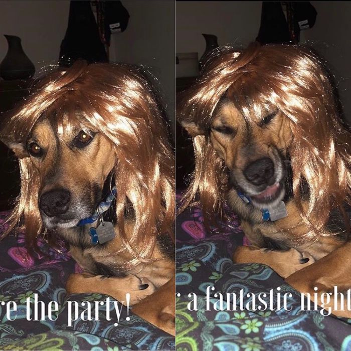 This Guy Before And After A Fantastic Night Out!!