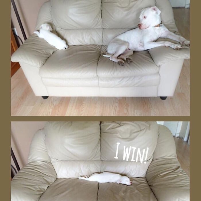 New Baby Sister Rules Da House!