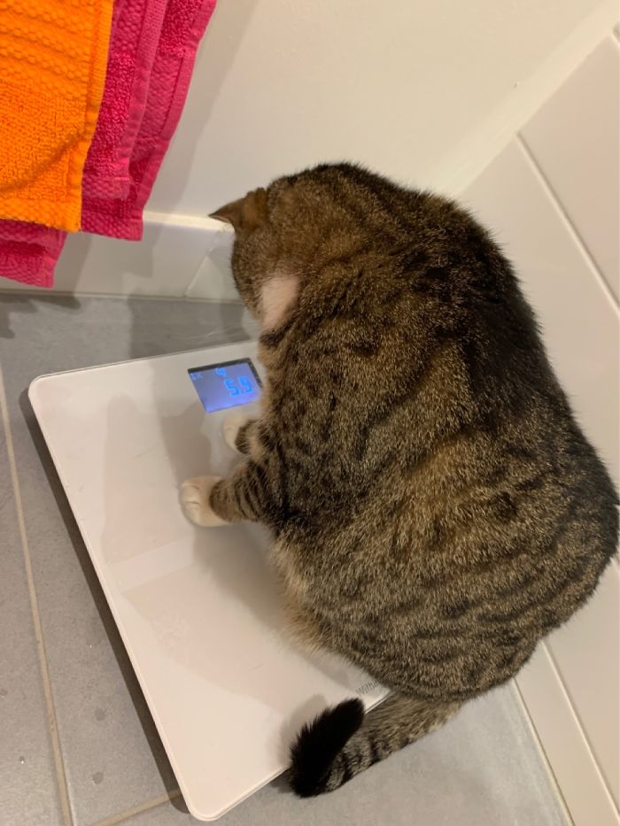 But I’ve Been So Good All Week!