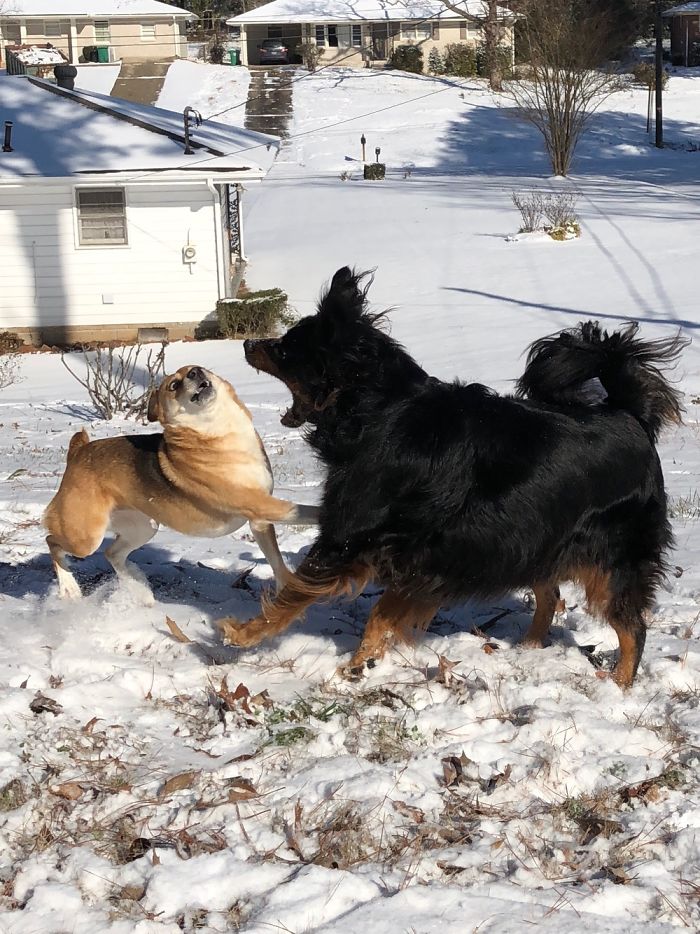 They Love Each Other. I Promise.