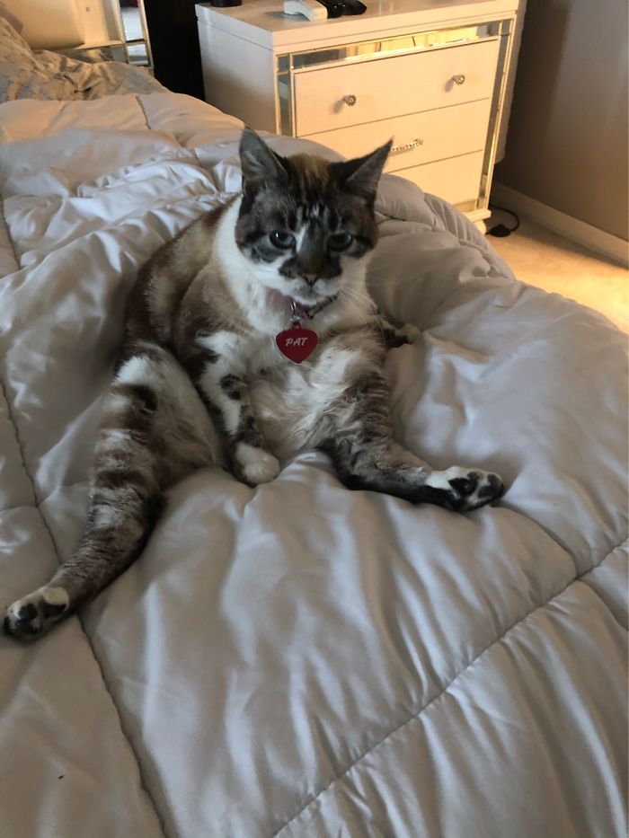 Doesn’t Anyone In This House Knock Anymore?!