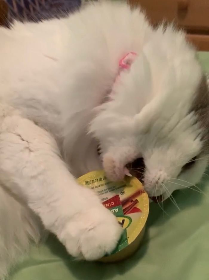 Her Name Is Tiff, And She Loves Applesauce