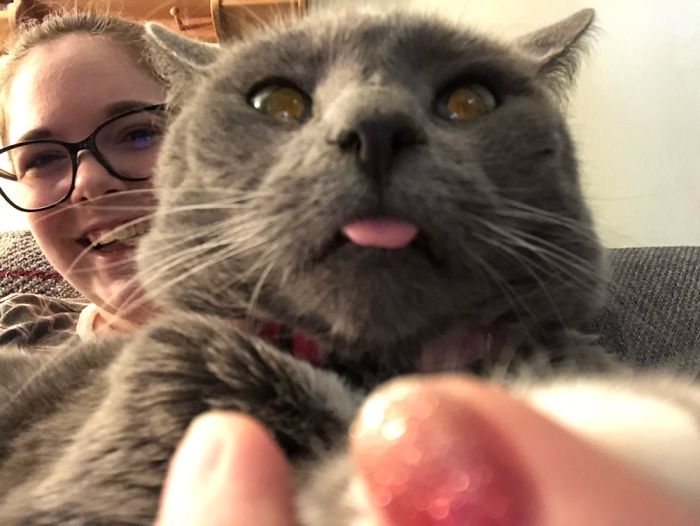 This Is My Aunts Cat, I Don't Think This Is Her Angle. Her Name Is Tippy.