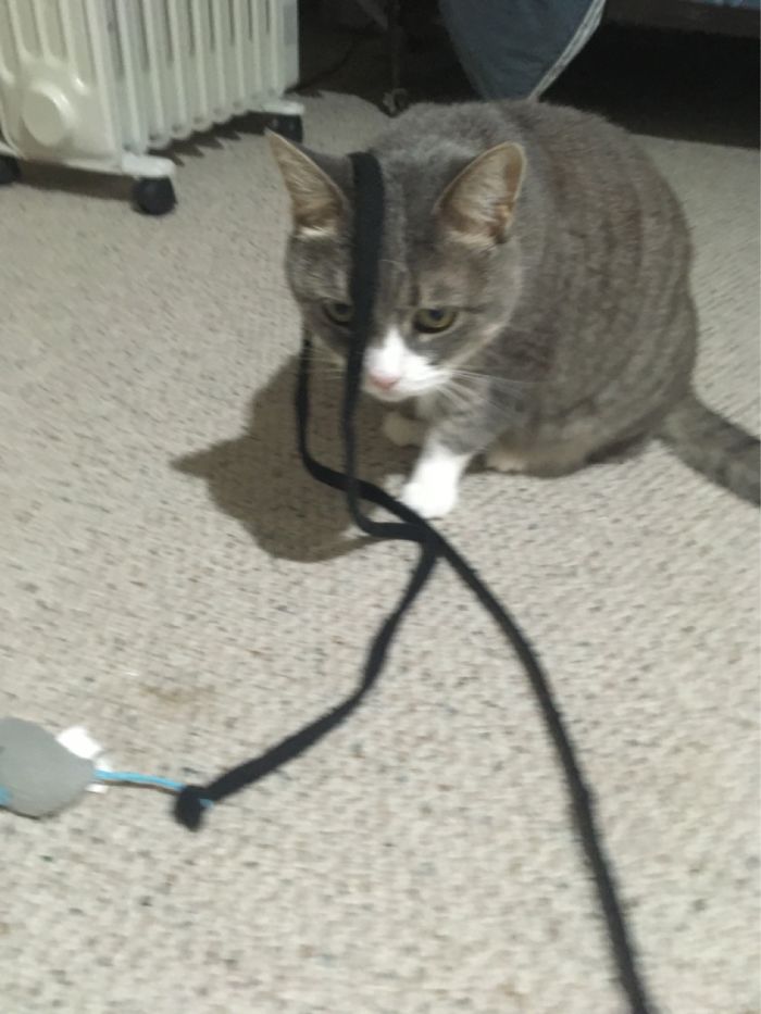 There’s Something On My Head... Isn’t There?