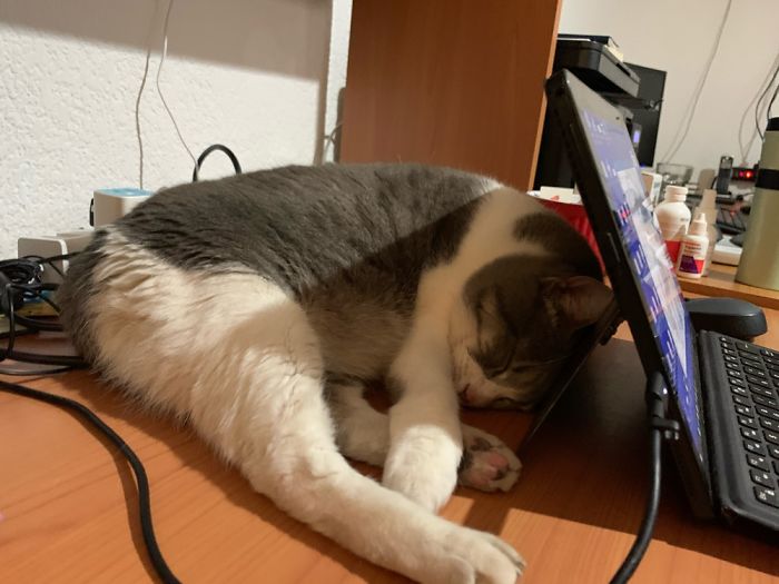 She’s Just Over This Whole Home Office Thing...