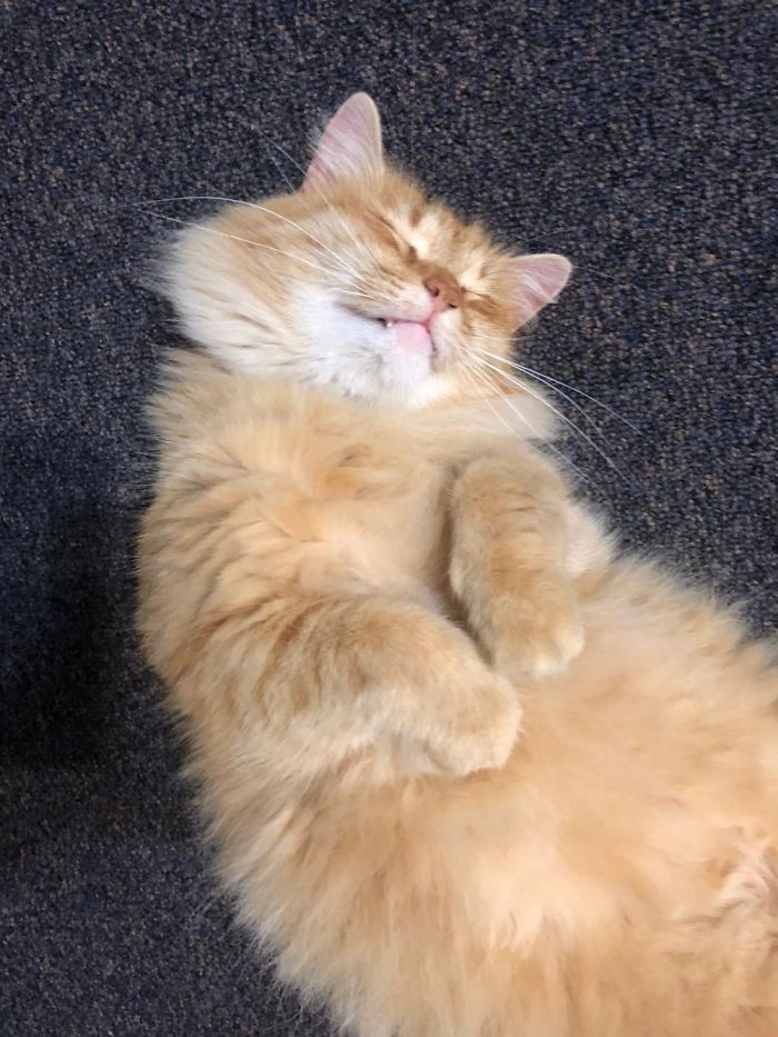 Amy Being Cute As Always.