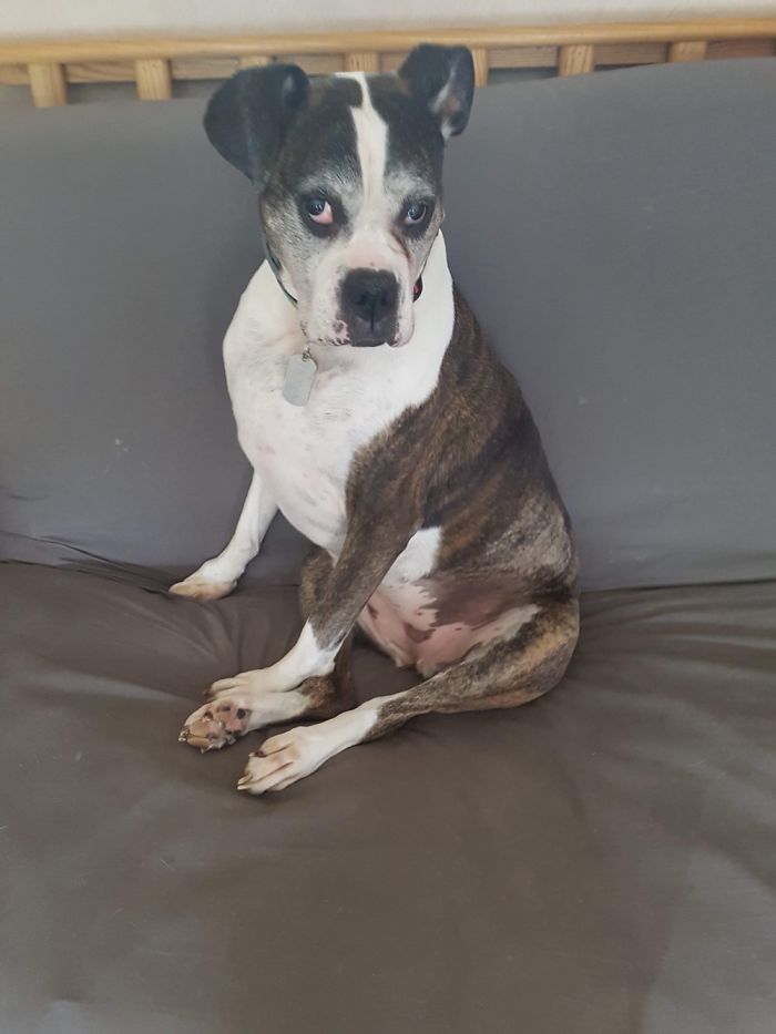 Fiona Posing For Her Glamour Shot. So Much Sass