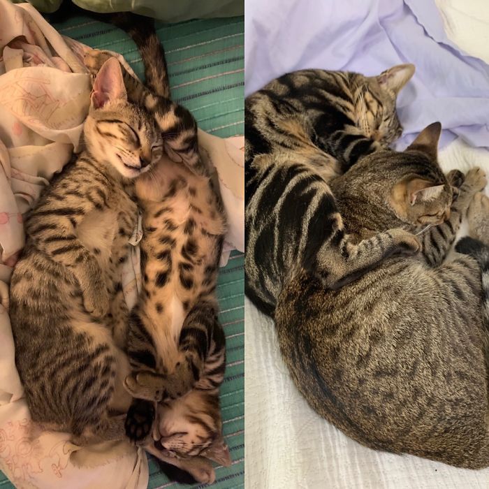 Saved These Two Sisters