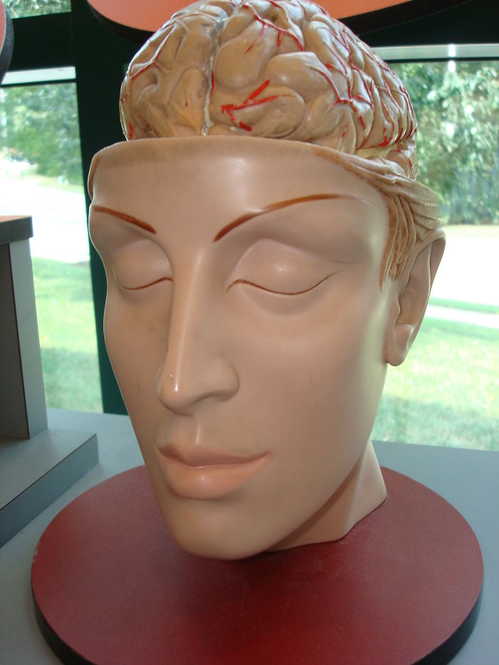 People Are Sharing Facts That Blew Their Minds And Here Are 30 Of The Most Interesting Ones