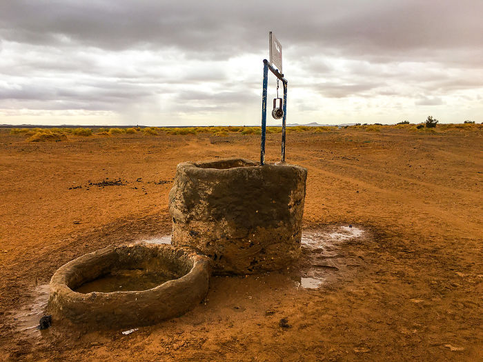 People Are Sharing Facts That Blew Their Minds And Here Are 30 Of The Most Interesting Ones