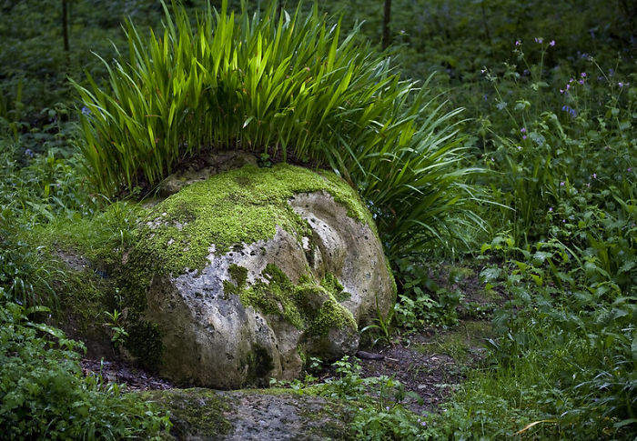 Incredible Living Sculpture In The Lost Gardens Of Heligan Changes Its Appearance With The Seasons