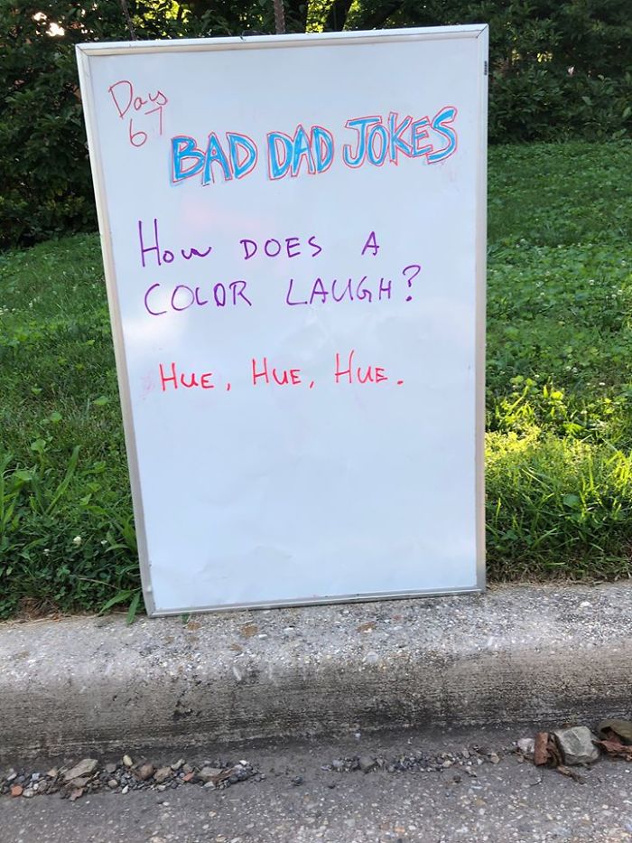 Man-Posts-Toms-Bad-Dad-Jokes-On-His-Lawn