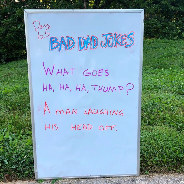 Man-Posts-Toms-Bad-Dad-Jokes-On-His-Lawn