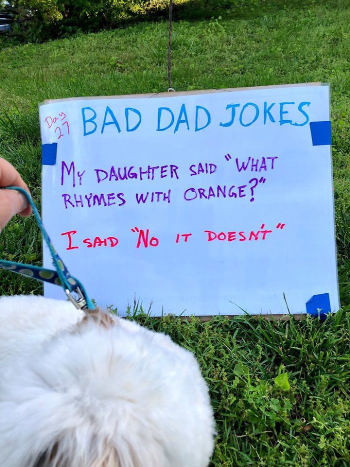 Man-Posts-Toms-Bad-Dad-Jokes-On-His-Lawn