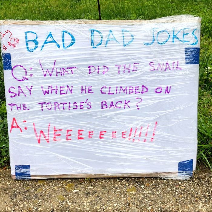 Man-Posts-Toms-Bad-Dad-Jokes-On-His-Lawn