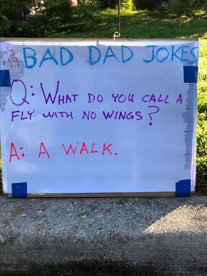 Man-Posts-Toms-Bad-Dad-Jokes-On-His-Lawn