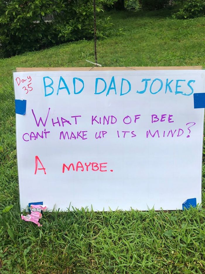 Man-Posts-Toms-Bad-Dad-Jokes-On-His-Lawn