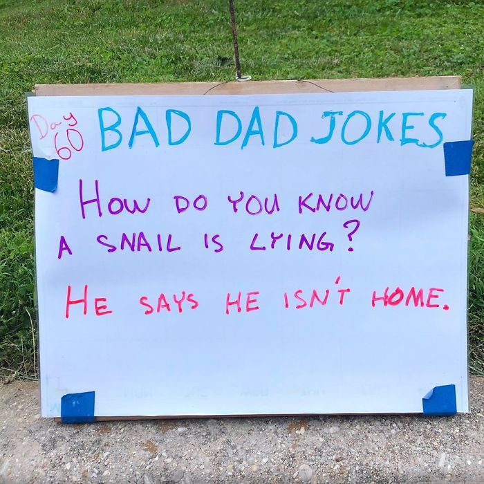 Man-Posts-Toms-Bad-Dad-Jokes-On-His-Lawn