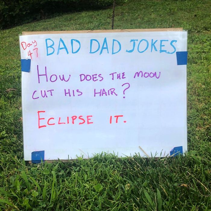 Man-Posts-Toms-Bad-Dad-Jokes-On-His-Lawn