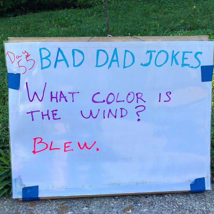 Man-Posts-Toms-Bad-Dad-Jokes-On-His-Lawn