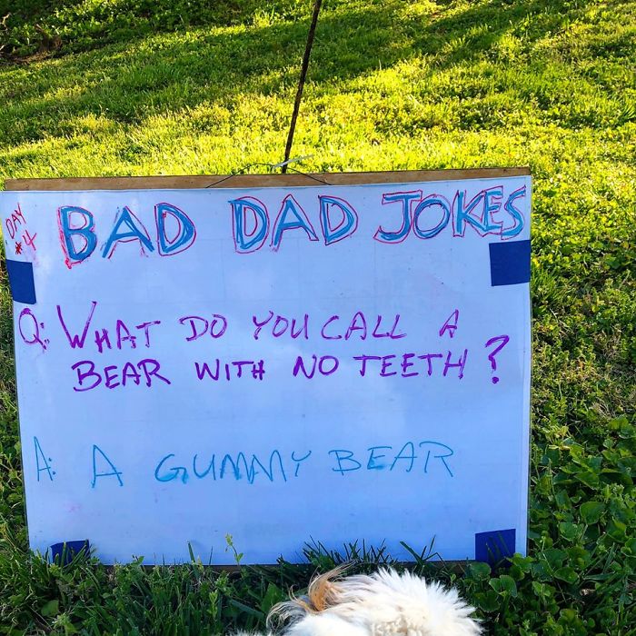 Man-Posts-Toms-Bad-Dad-Jokes-On-His-Lawn