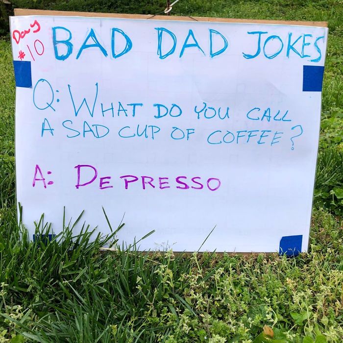 Man-Posts-Toms-Bad-Dad-Jokes-On-His-Lawn
