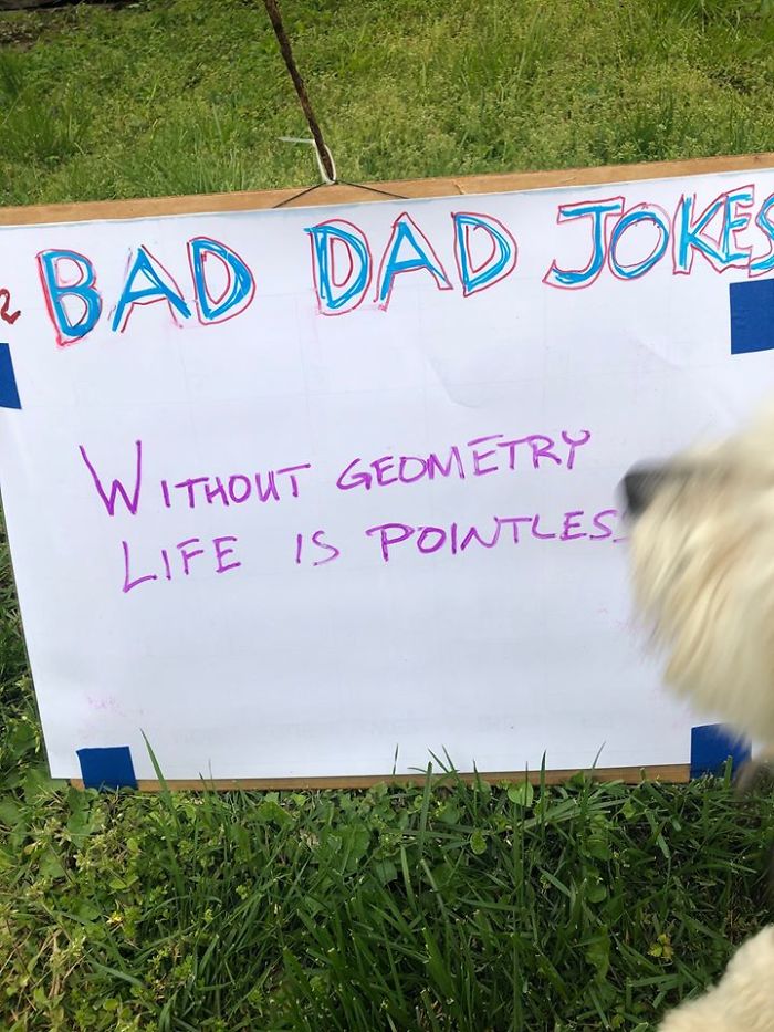 Man-Posts-Toms-Bad-Dad-Jokes-On-His-Lawn