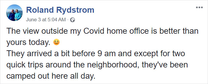 Moose And Her Calves Decide To Spend A Day In This Family's Backyard, Man Documents How It Went