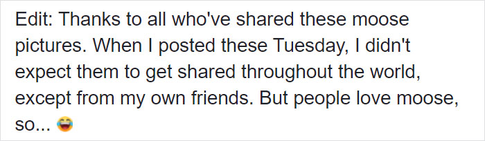 Moose And Her Calves Decide To Spend A Day In This Family's Backyard, Man Documents How It Went