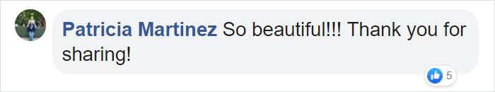 Moose And Her Calves Decide To Spend A Day In This Family's Backyard, Man Documents How It Went