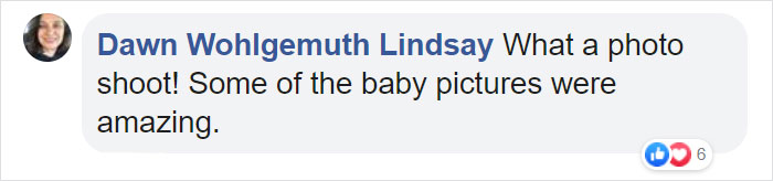 Moose And Her Calves Decide To Spend A Day In This Family's Backyard, Man Documents How It Went