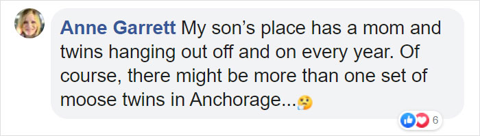 Moose And Her Calves Decide To Spend A Day In This Family's Backyard, Man Documents How It Went