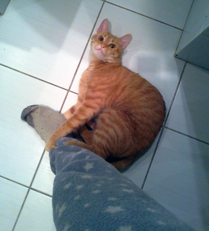 When She Knows I Have To Prepare To Go To Work But Won't Allow It