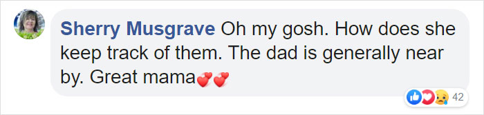 This Goose Couple Is Taking Care Of 47 Adorable Baby Goslings