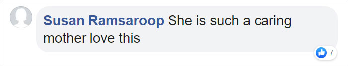 This Goose Couple Is Taking Care Of 47 Adorable Baby Goslings