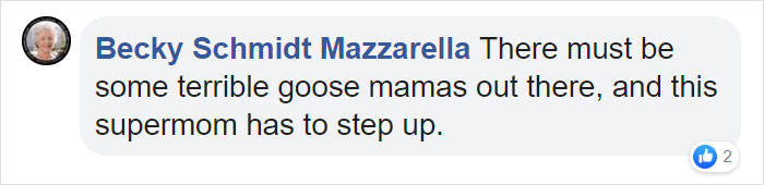 This Goose Couple Is Taking Care Of 47 Adorable Baby Goslings